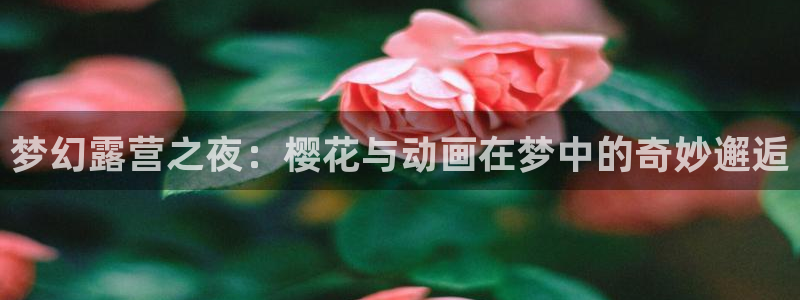 omofun动漫网,omofun弹幕网：梦幻露营之夜：樱花与动画在梦中的奇妙邂逅
