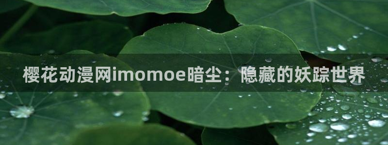 omofun,：樱花动漫网imomoe暗尘：隐藏的妖踪世界