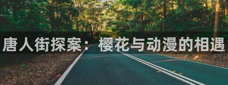 omofun 官网：唐人街探案：樱花与动漫的相遇