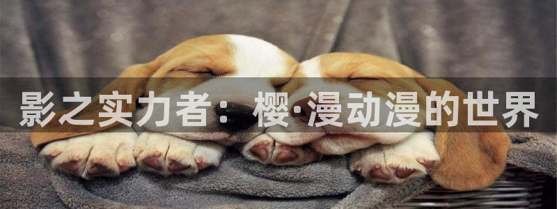 omofun缓存：影之实力者：樱·漫动漫的世界