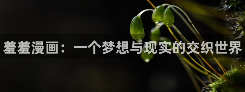 https://omofun：羞羞漫画：一个梦想与现实的交织世界