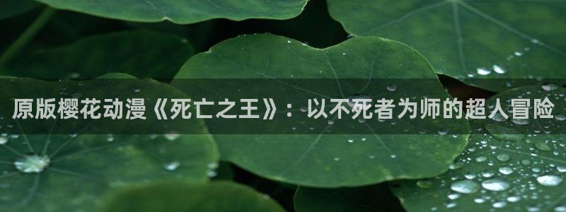 omofun中文官网：原版樱花动漫《死亡之王》：以不死者为师的超人冒险