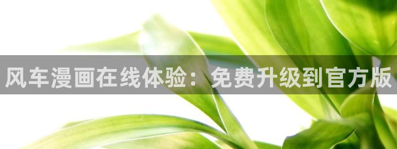 omofun动漫免费看官网入口在哪：风车漫画在线体验：免费升级到官方版