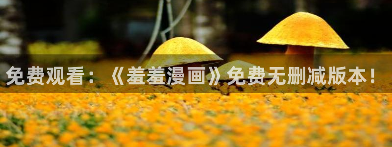 omofun动漫官方官网：免费观看：《羞羞漫画》免费无删减版本！