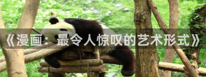 omofun动漫动漫：《漫画：最令人惊叹的艺术形式》