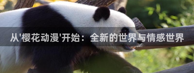 omofun动漫在线观看动漫最新版本更新：从\'樱花动漫\'开始：全新的世界与情感世界