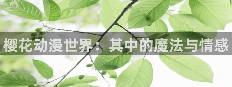 虫虫漫画下载：樱花动漫世界：其中的魔法与情感