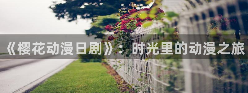 omofun动漫共和国