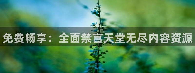 omofun中文官网