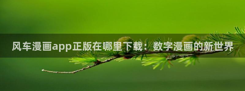 虫虫漫画正版下载入口