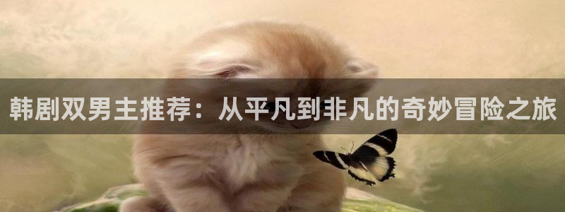 omofun是什么：韩剧双男主推荐：从平凡到非凡的奇妙冒险之旅