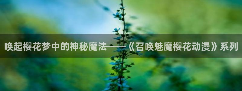 omofun网页入口版：唤起樱花梦中的神秘魔法——《召唤魅魔樱花动漫》系列