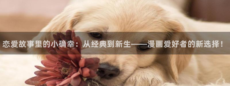 omofun动画：恋爱故事里的小确幸：从经典到新生——漫画爱好者的新选择！
