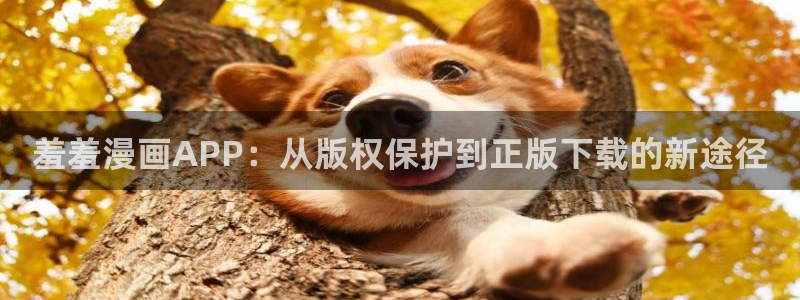 omofun官方版入口：羞羞漫画APP：从版权保护到正版下载的新途径