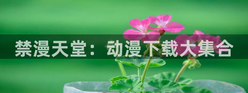 虫虫漫画：禁漫天堂：动漫下载大集合