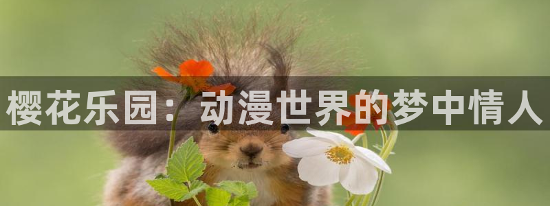 omofun网页版登录入口：樱花乐园：动漫世界的梦中情人