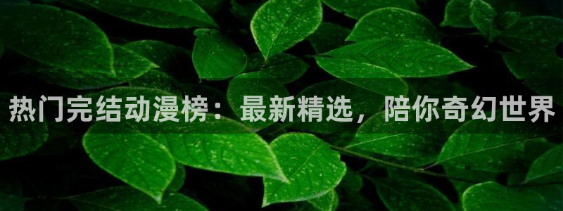 1 omofun：热门完结动漫榜：最新精选，陪你奇幻世界